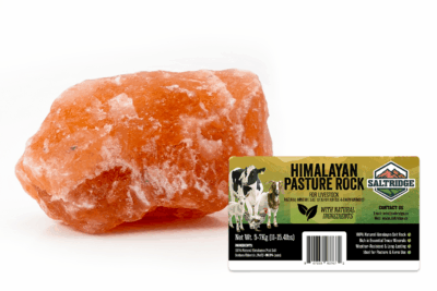 Himalayan Pasture Rock